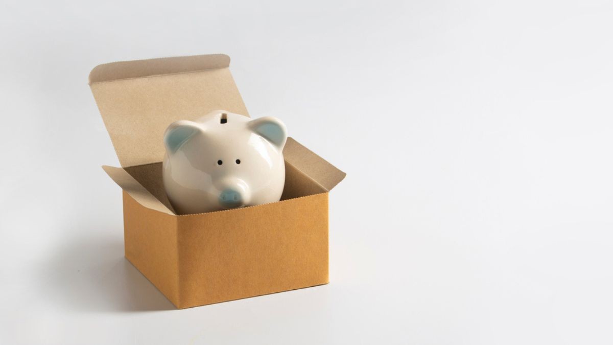 RANI3 Lucro 4T25: Why a 79% Drop Hides Operational Strength